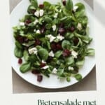 een pin voor rode bietensalade.